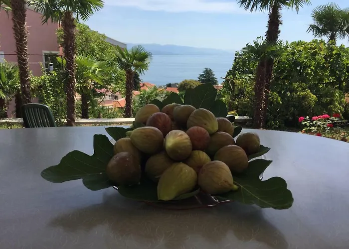 Anicic Appartement Opatija